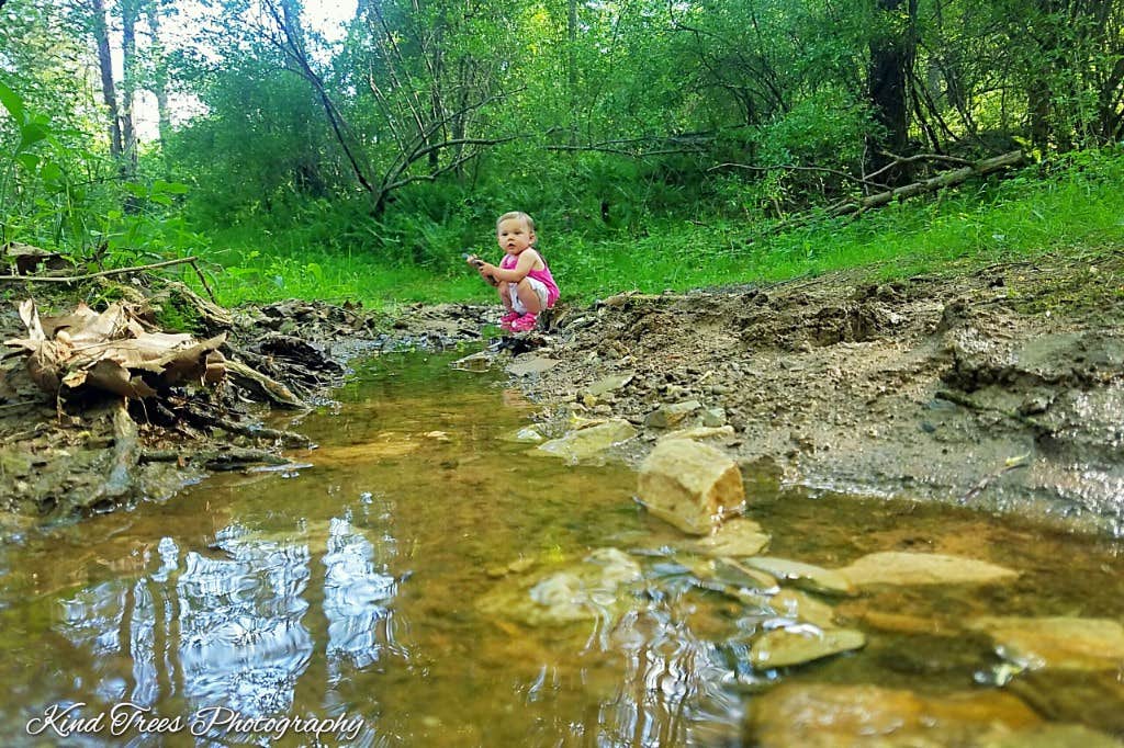 Camper submitted image from Moxley Branch Campground — Beech Fork State Park - 4