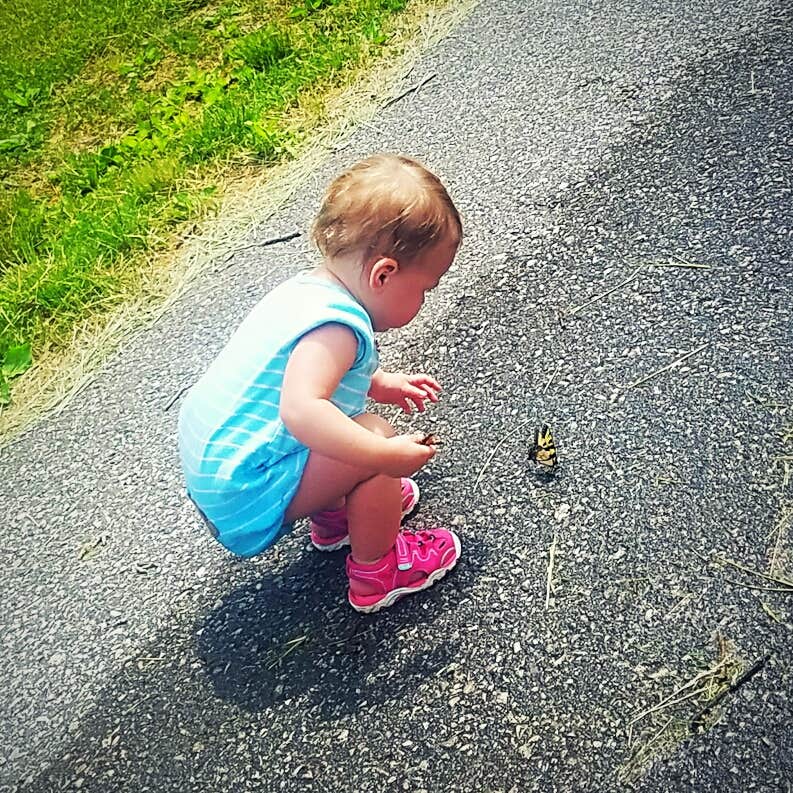 Camper-submitted photo at Moxley Branch Campground — Beech Fork State Park near Adams, KY