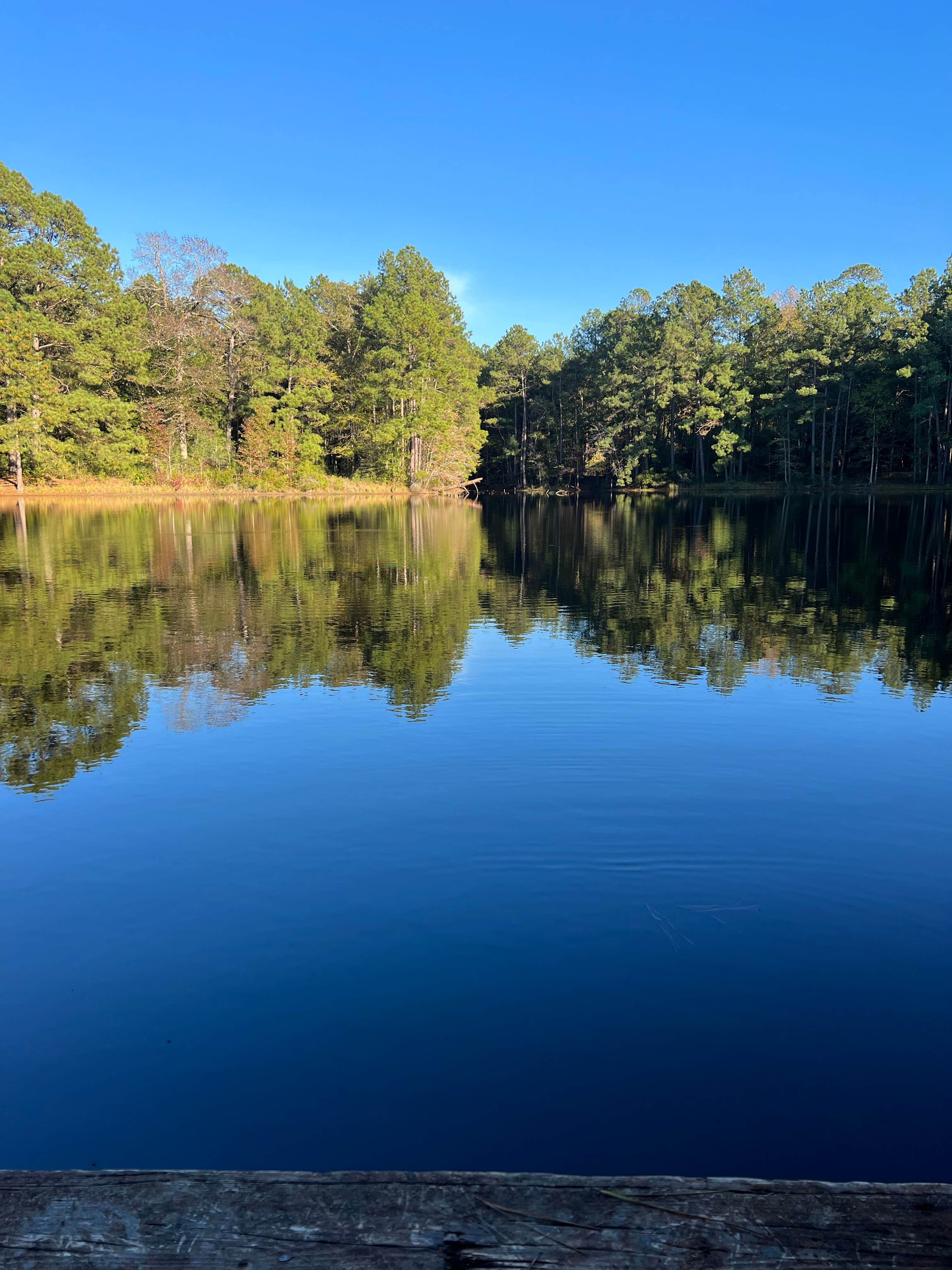 Camper-submitted photo at Lake Niederhoffer Campsite near Dodge, TX
