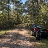 Review photo of Lake Niederhoffer Campsite by Trenton V., November 9, 2021