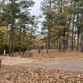 Review photo of Robbers Cave State Park — Robbers Cave State Resort Park by Jake C., November 9, 2021