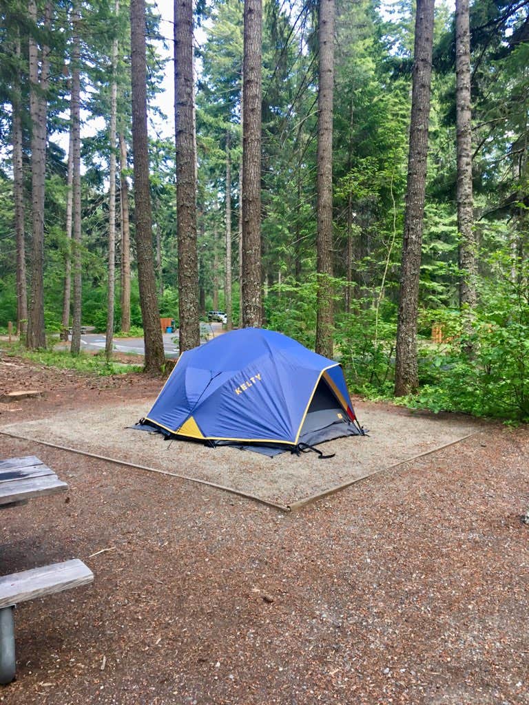 Camper submitted image from Lake Easton State Park Campground - 3