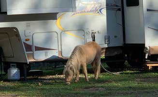 Keith P.'s photo of camping with pets at Scales Lake Park near Highland, IN