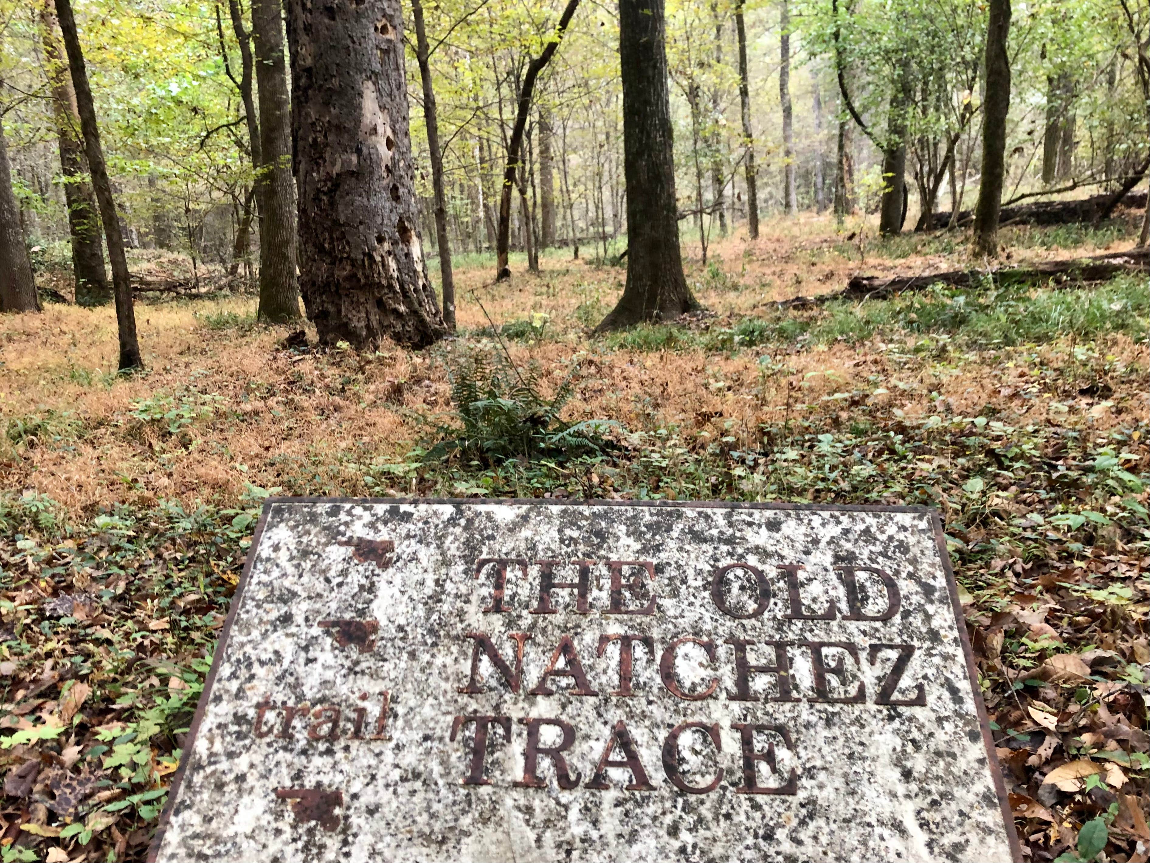 Rocky Springs Campground, Milepost 54.8 — Natchez Trace Parkway