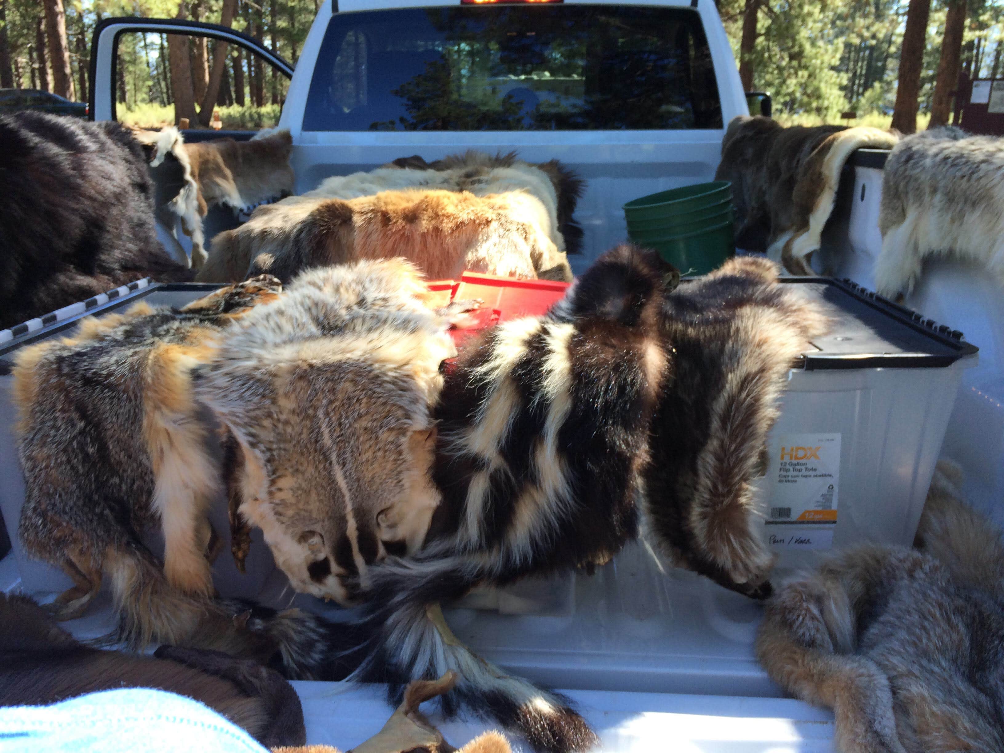 Camper submitted image from Prosser Family - 5