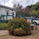 Review photo of Colorado Landing RV & Mobile Home Park by Denise V., November 10, 2021