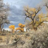 Review photo of Samuel Buckland Campground — Fort Churchill State Historic Park by Jeremy M., November 10, 2021