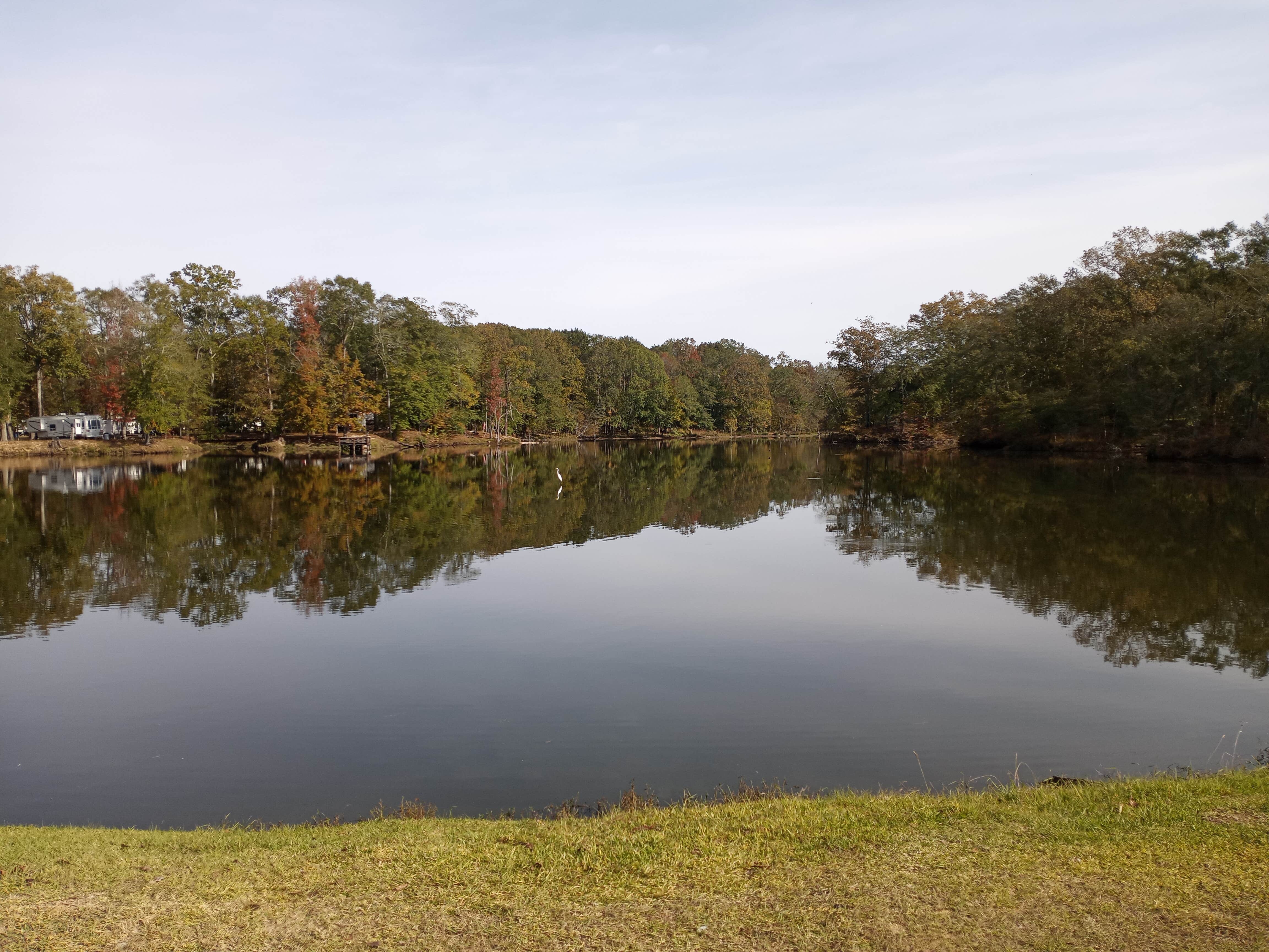 Camper submitted image from Askew's Landing RV Campground - 5