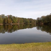 Review photo of Askew's Landing RV Campground by Teri B., November 10, 2021