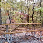 Review photo of Paris Landing State Park Campground by The Wandering B., November 10, 2021
