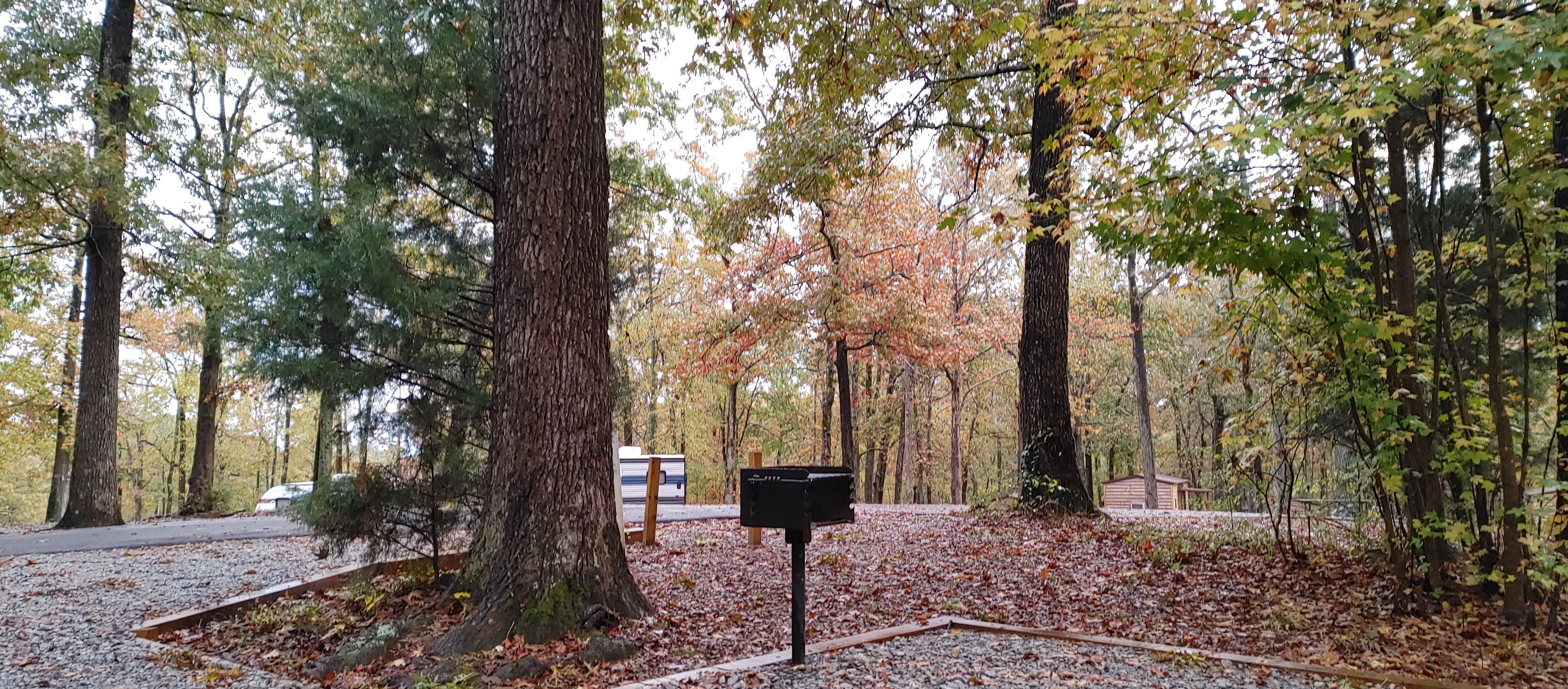 Camper-submitted photo at Paris Landing State Park Campground near New Concord, KY
