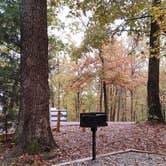 Review photo of Paris Landing State Park Campground by The Wandering B., November 10, 2021