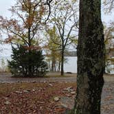 Review photo of Boswell Landing Campground by The Wandering B., November 10, 2021