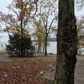 Review photo of Boswell Landing Campground by The Wandering B., November 10, 2021