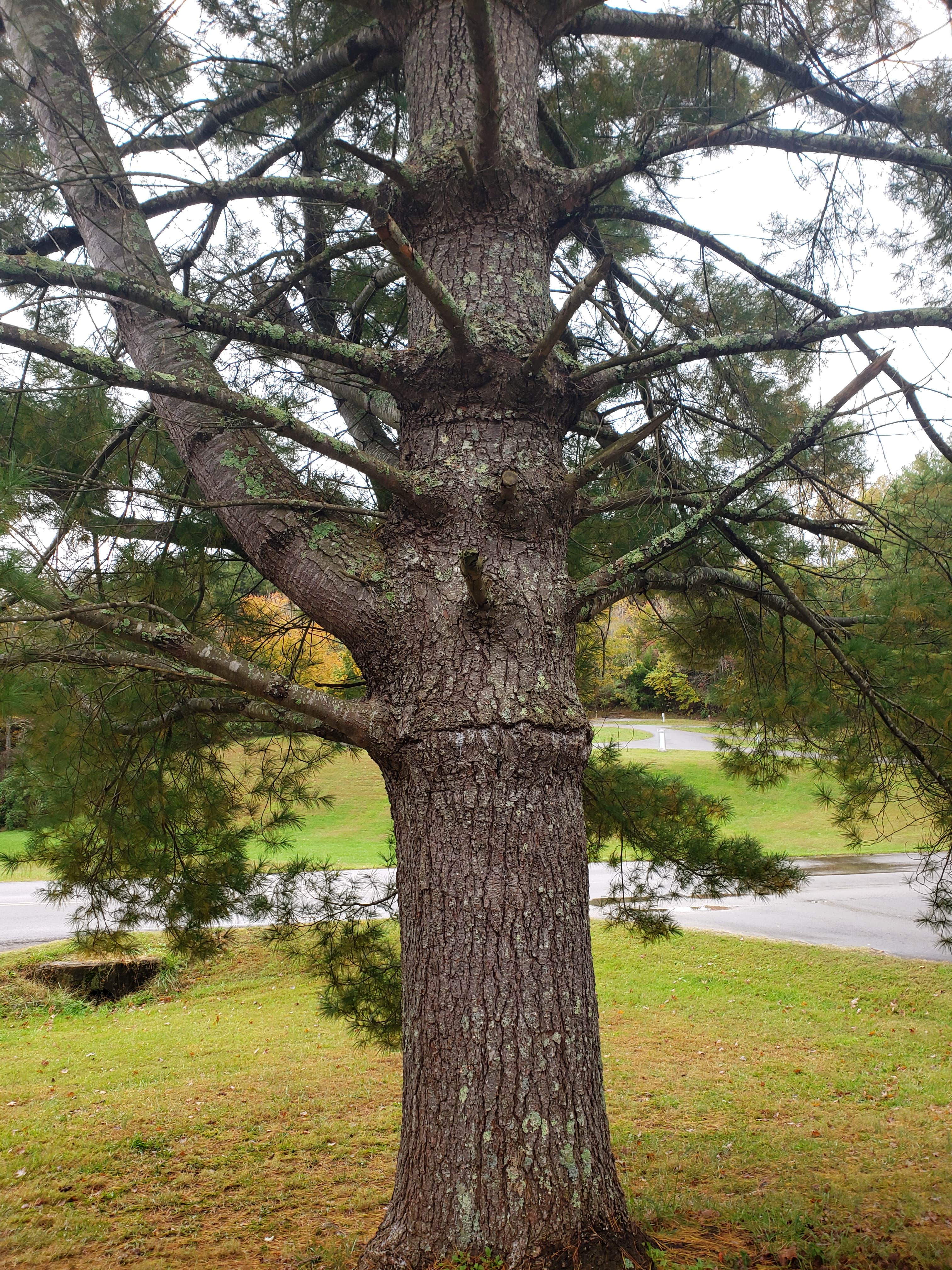 Camper-submitted photo at Dale Hollow Lake State Resort Park near Horse Cave, KY