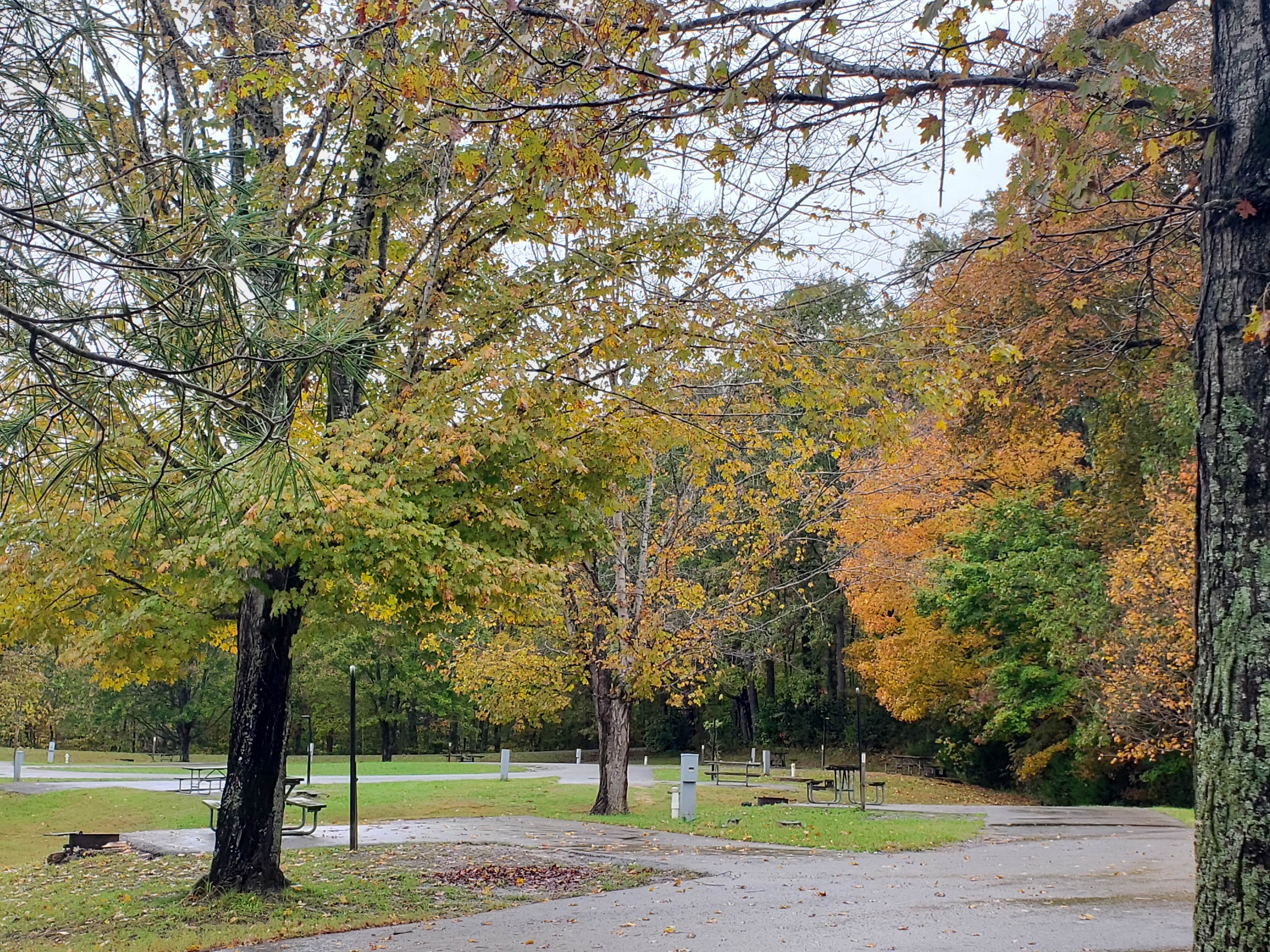 Camper-submitted photo at Dale Hollow Lake State Resort Park near Horse Cave, KY