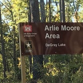 Review photo of Arlie Moore - De Gray Lake by Dave G., November 10, 2021