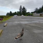 Review photo of Umpqua Lighthouse State Park Campground by franki A., November 10, 2021