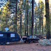 Review photo of Goat Meadow - Dispersed Camp Site by Brett H., November 10, 2021