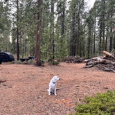 Review photo of Goat Meadow - Dispersed Camp Site by Brett H., November 10, 2021