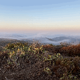 Review photo of Moro Campground — Crystal Cove State Park by Torye C., November 10, 2021