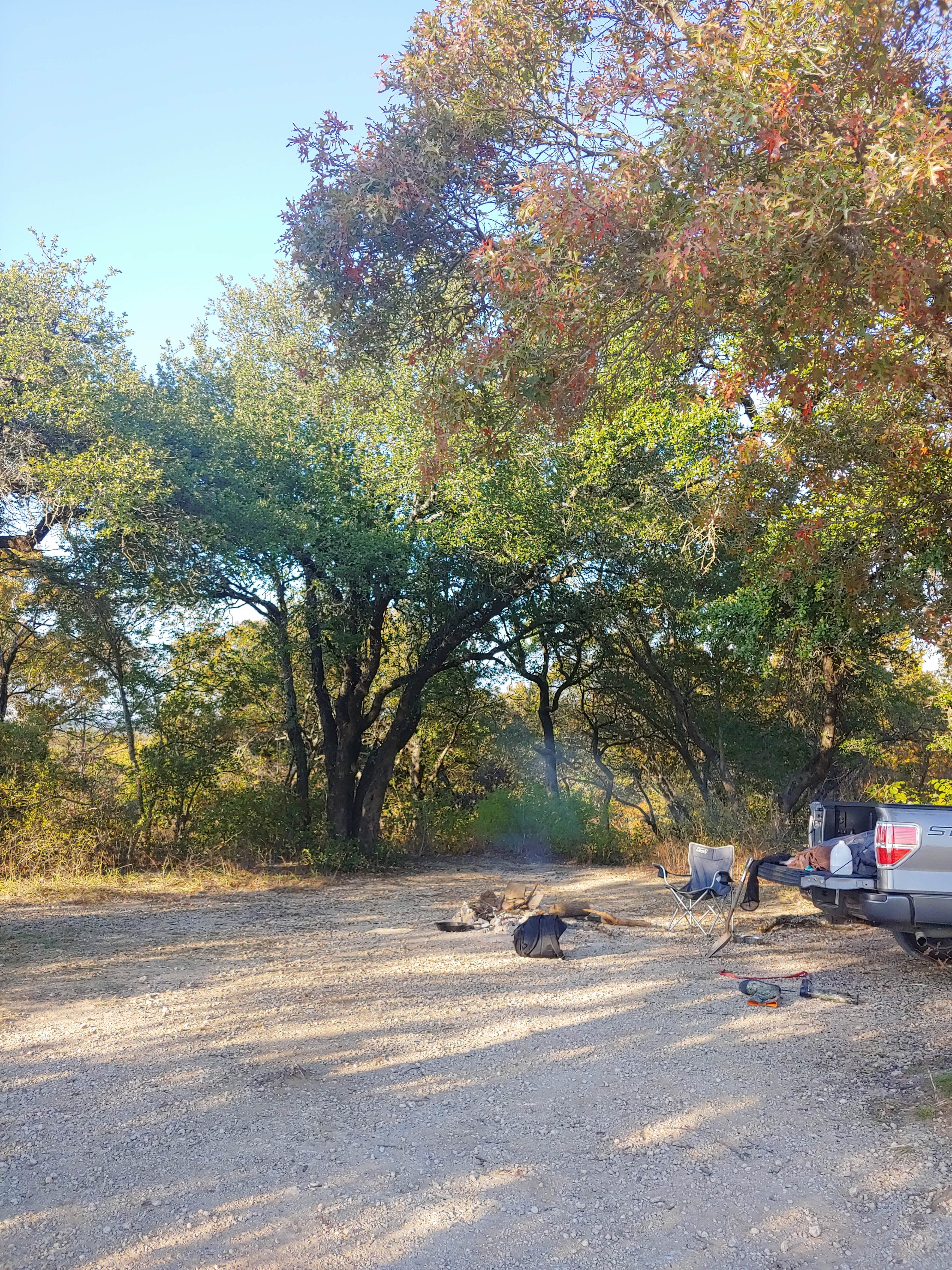 Camper submitted image from LBJ National Grasslands Forest Road 904 Dispersed Camping - 3