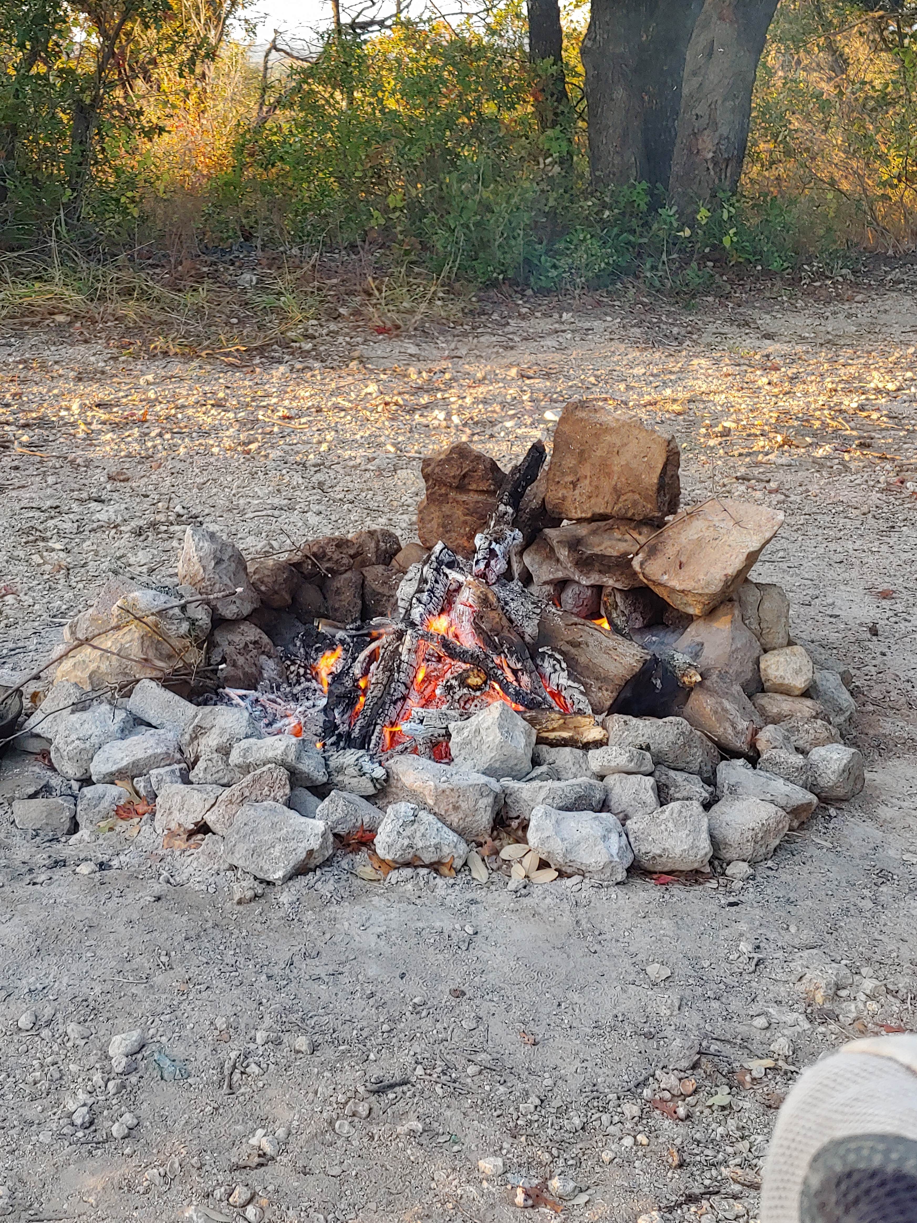 Camper submitted image from LBJ National Grasslands Forest Road 904 Dispersed Camping - 4