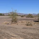 Review photo of Vidal Junction - Dispersed Camping by Greg L., November 10, 2021