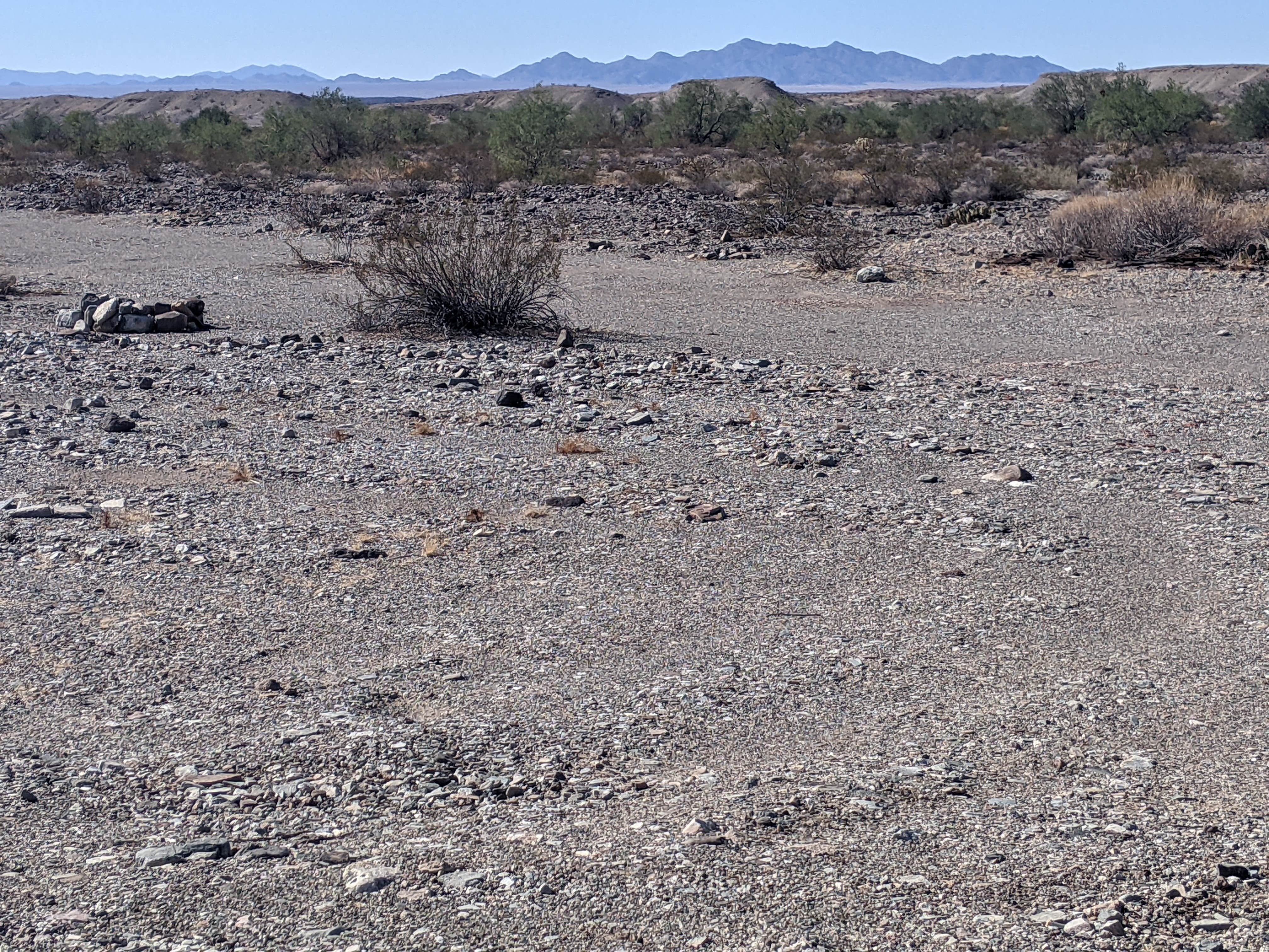 Camper submitted image from BLM dispersed camping spur at MP 133.8 - 3