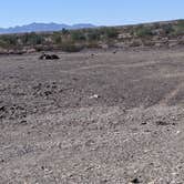 Review photo of BLM dispersed camping spur at MP 133.8 by Greg L., November 11, 2021