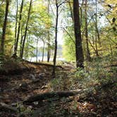 Review photo of Saddle Lake Campground — Hoosier National Forest by Ronald H., November 11, 2021