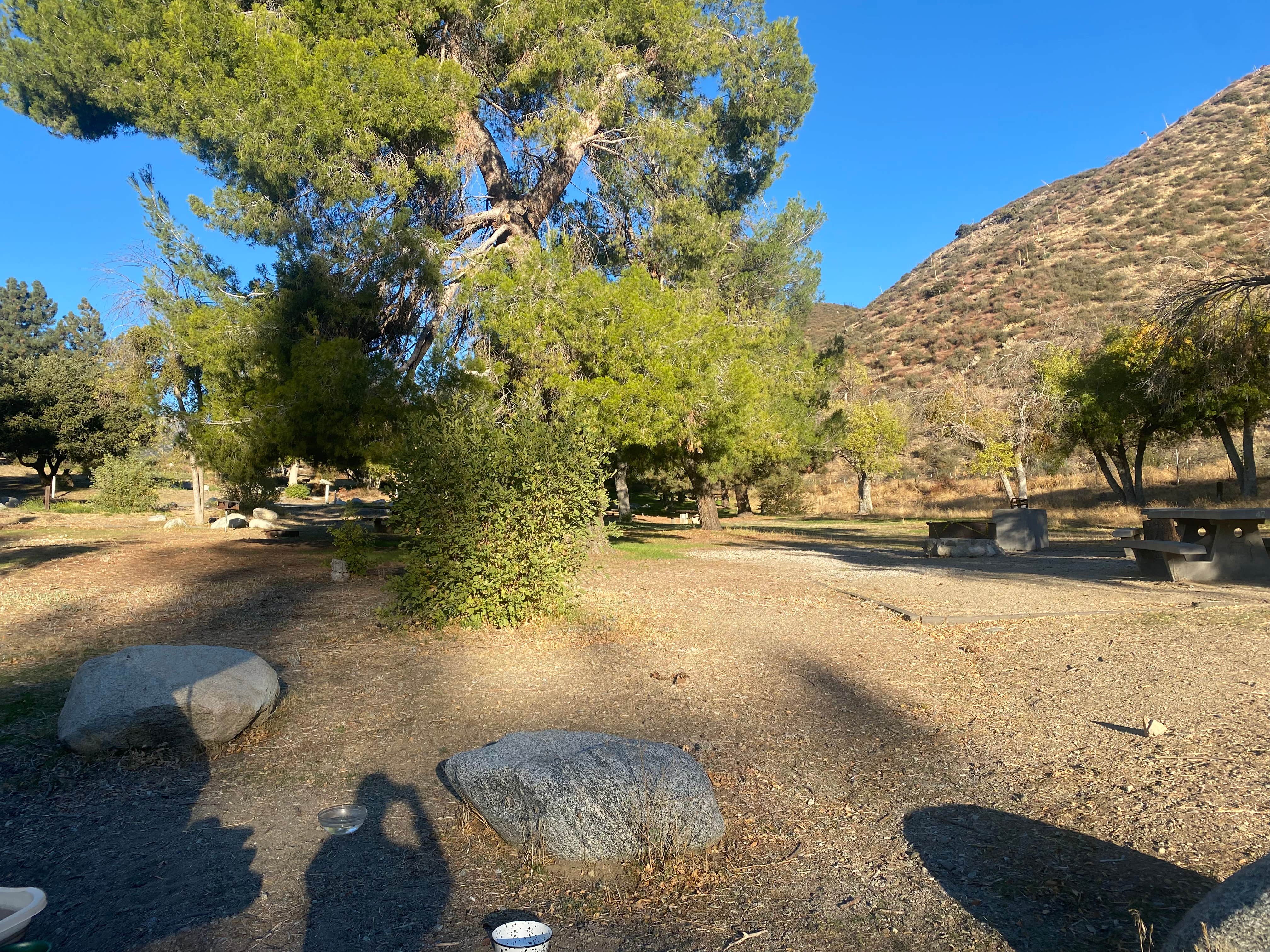 Camper submitted image from Applewhite Campground (Ca) — San Bernardino National Forest - 4