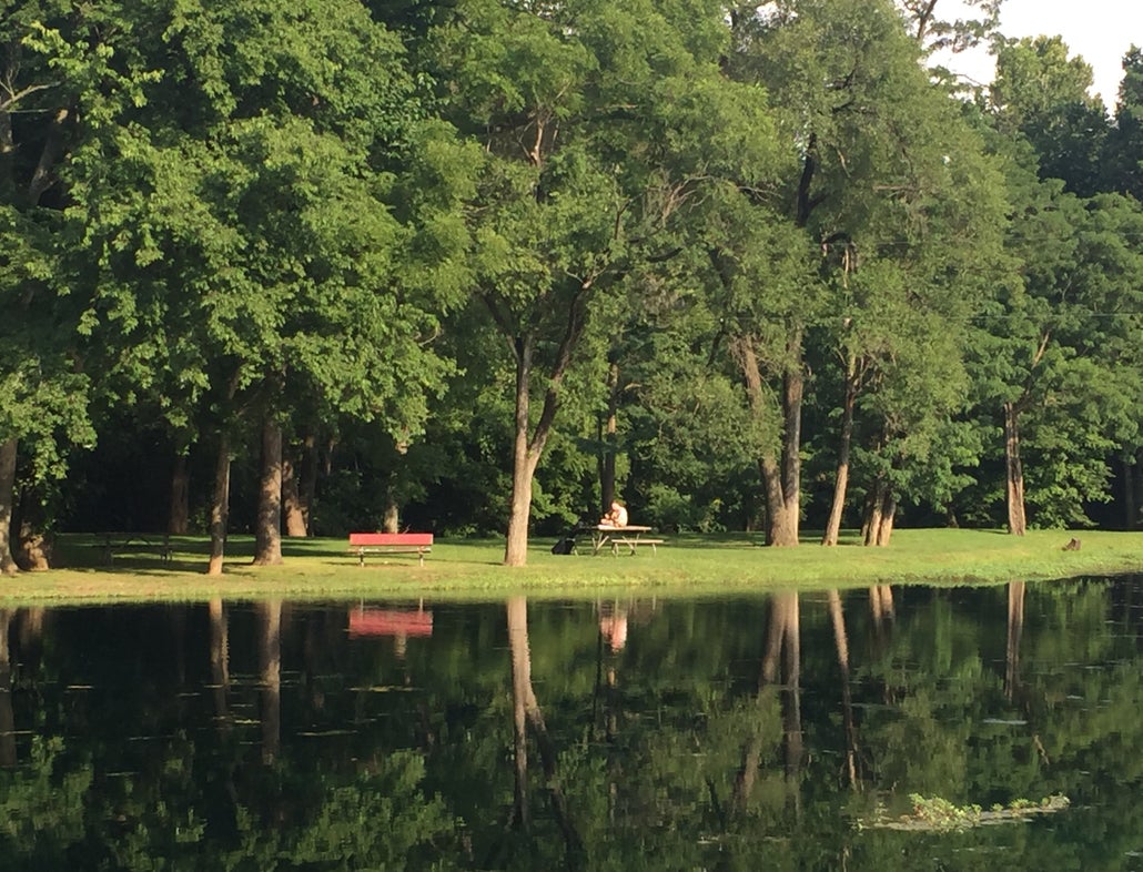 image taken across a pond from a man on a solo picnic