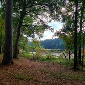 Review photo of Huntsville State Park Campground by Patricia R., November 11, 2021