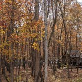 Review photo of Davy Crockett Campground by Campfiresandcoffee94  ., November 11, 2021