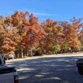 Review photo of Davy Crockett Campground by Campfiresandcoffee94  ., November 11, 2021