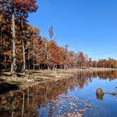 Review photo of Davy Crockett Campground by Campfiresandcoffee94  ., November 11, 2021