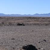 Review photo of BLM mp 138.0 spur Dispersed by Greg L., November 11, 2021