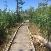 Review photo of Point Lookout State Park - Temporarily Closed by Carrie A., July 7, 2018