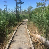 Review photo of Point Lookout State Park - Temporarily Closed by Carrie A., July 7, 2018