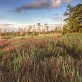 Review photo of Point Lookout State Park - Temporarily Closed by Carrie A., July 7, 2018