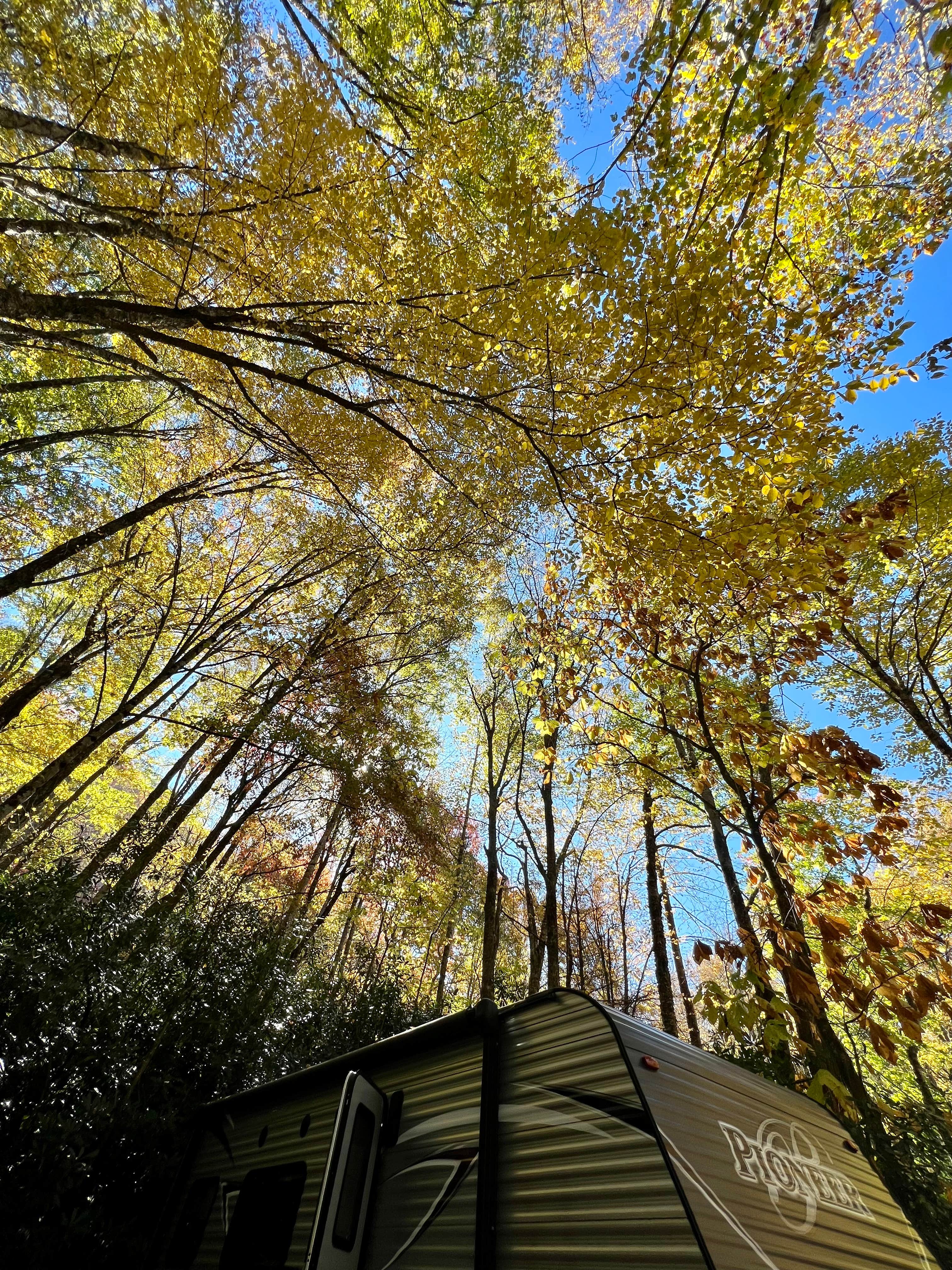 Amanda L.'s photo of a cabin at Honey Bear Campground near Newton, NC