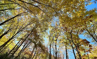 Amanda L.'s photo of a cabin at Honey Bear Campground in North Carolina