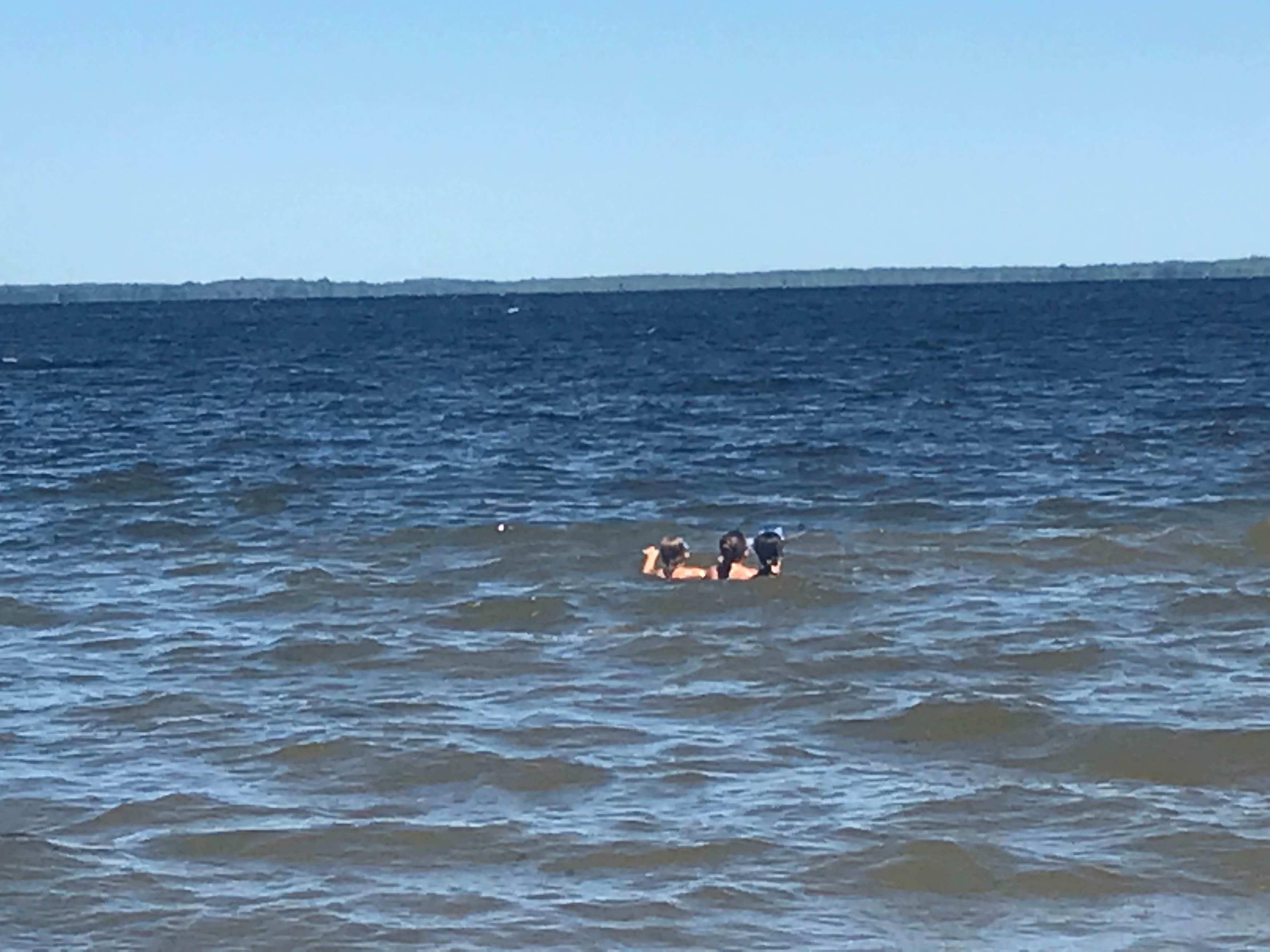 Onaway State Park The Dyrt