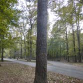 Review photo of Rocky Springs Campground, Milepost 54.8 — Natchez Trace Parkway by Stacy G., November 12, 2021