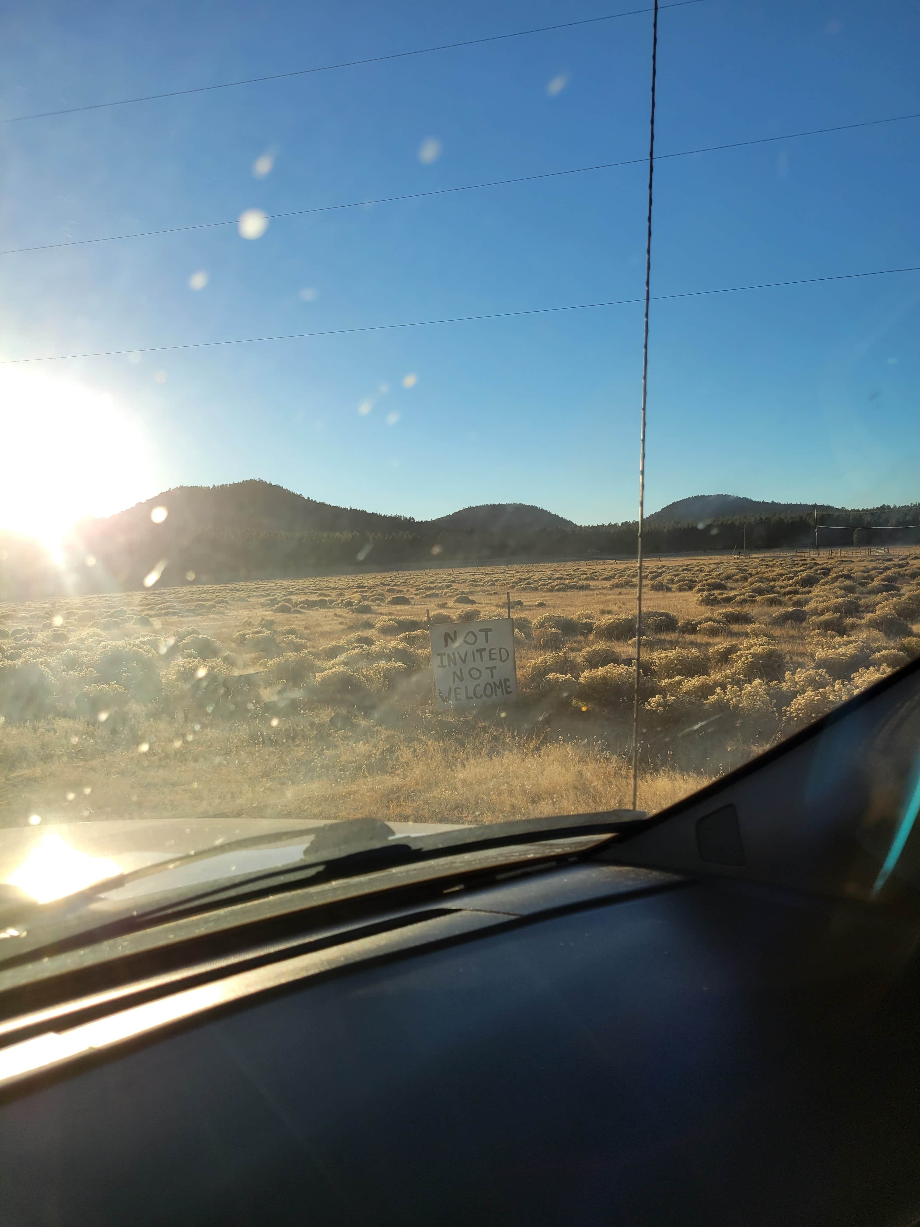 Camper-submitted photo at Dogtown Lake Road Dispersed Camping near Williams, AZ