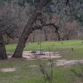 Review photo of Colorado Bend State Park Campground by Lorie G., November 12, 2021