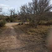 Review photo of South Llano River State Park Campground by Lorie G., November 12, 2021