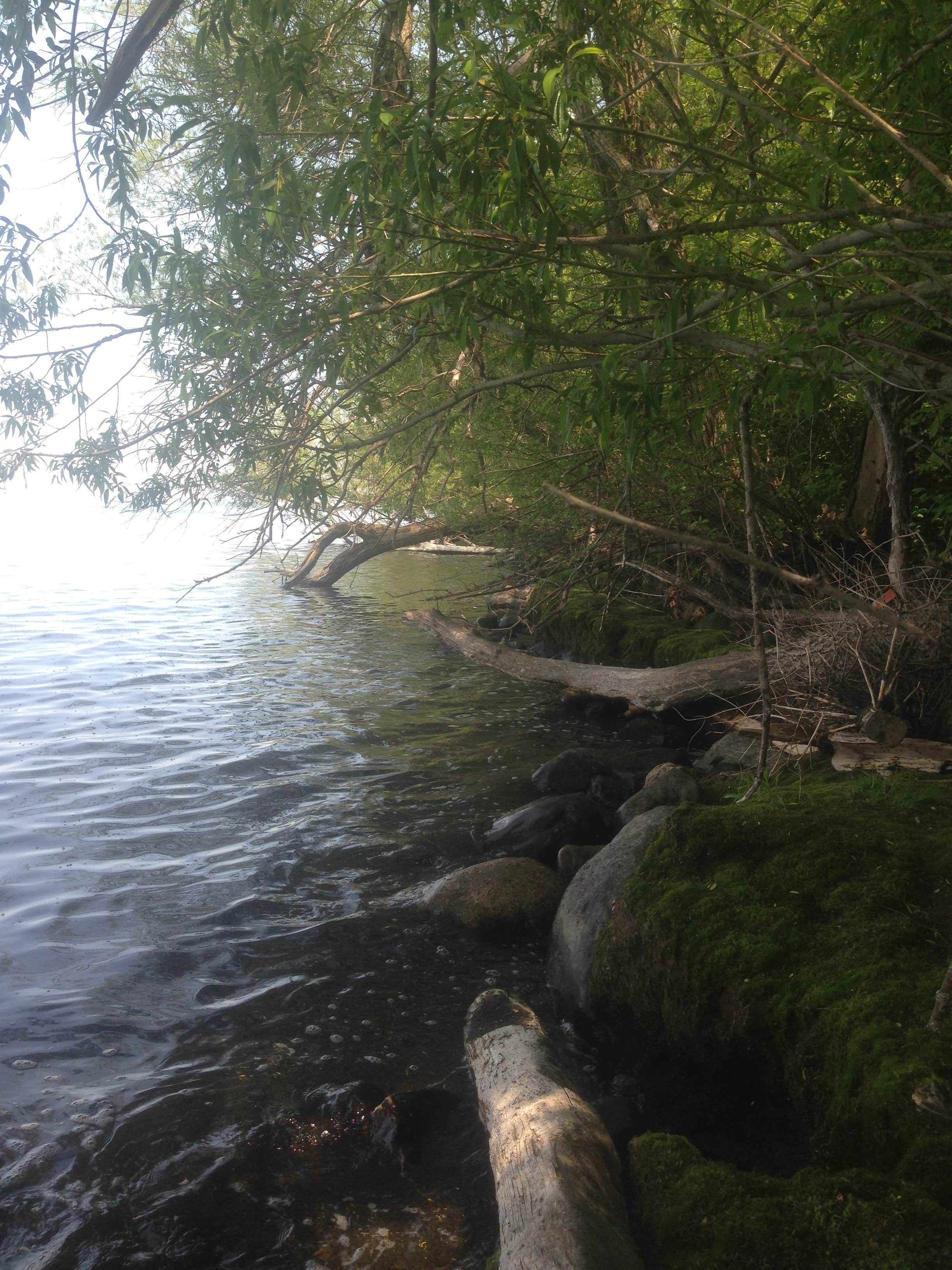 Calumet County Park Camping Hilbert, WI