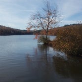 Review photo of Pin Oak Campground — Natchez Trace State Park by Morgan H., November 12, 2021